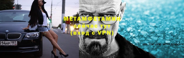 индика Новозыбков