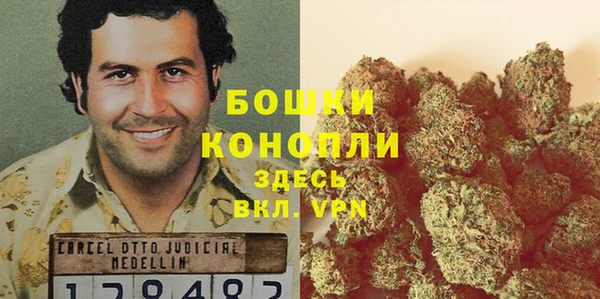 ГАЛЛЮЦИНОГЕННЫЕ ГРИБЫ Краснотурьинск