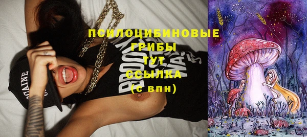 стафф Елабуга