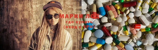ГАЛЛЮЦИНОГЕННЫЕ ГРИБЫ Краснотурьинск
