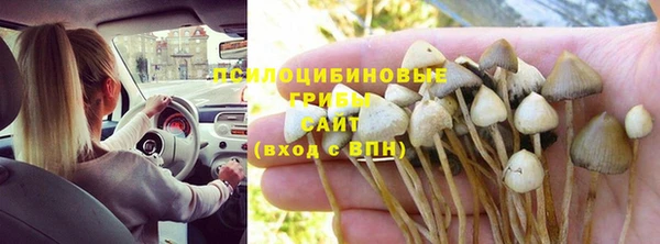 гидропоника Красноперекопск