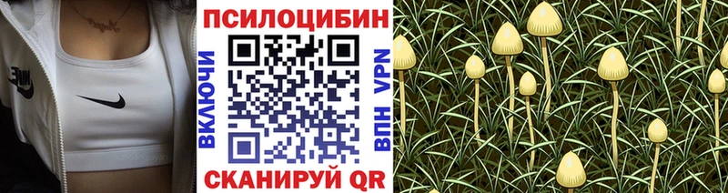 дарнет шоп  Усинск  OMG зеркало  Галлюциногенные грибы Psilocybe 