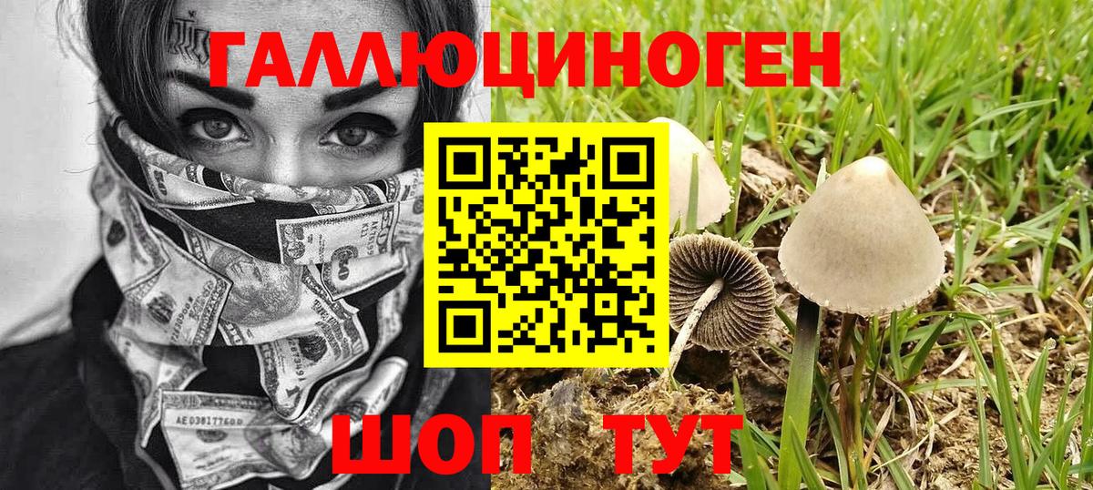 Усинск  где продают наркотики  Вход с VPN  Галлюциногенные грибы мухоморы 